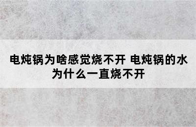 电炖锅为啥感觉烧不开 电炖锅的水为什么一直烧不开